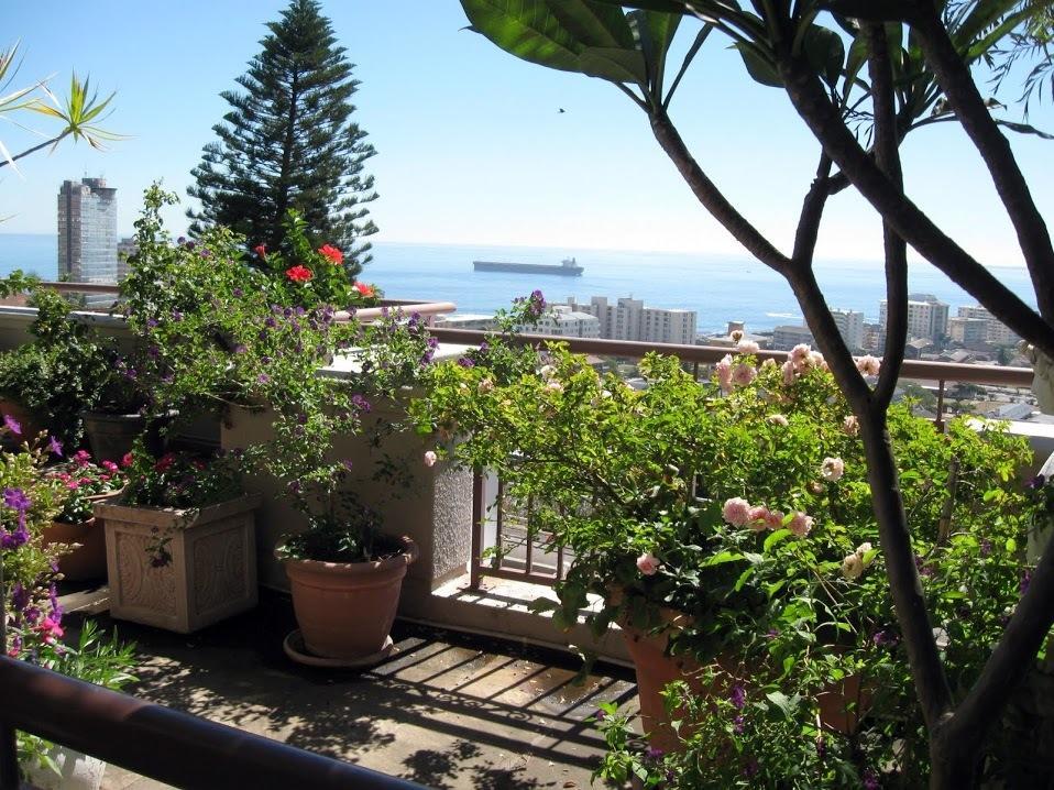123 Ocean View Drive Apartment Città del Capo Esterno foto